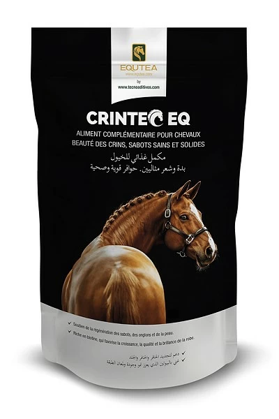 CRINTEC EQ